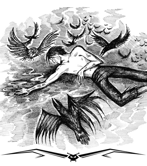 Иллюстрация к книге — Влада. Время Теней [i_011.jpg]