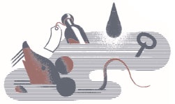 Иллюстрация к книге — Нереальный атлас [i_018.jpg]