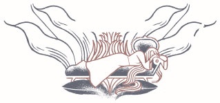 Иллюстрация к книге — Нереальный атлас [i_055.jpg]