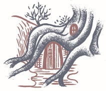 Иллюстрация к книге — Нереальный атлас [i_063.jpg]