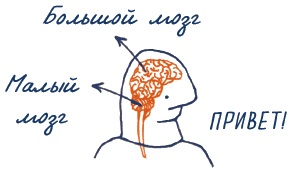 Иллюстрация к книге — В моей голове [i_005.jpg]