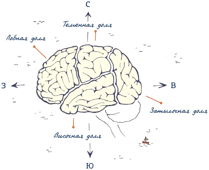 Иллюстрация к книге — В моей голове [i_010.jpg]