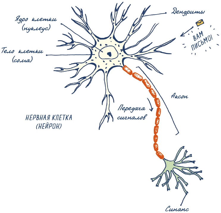 Иллюстрация к книге — В моей голове [i_012.jpg]