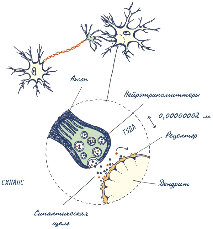 Иллюстрация к книге — В моей голове [i_013.jpg]