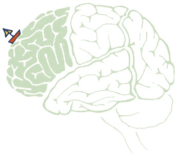 Иллюстрация к книге — В моей голове [i_027.jpg]