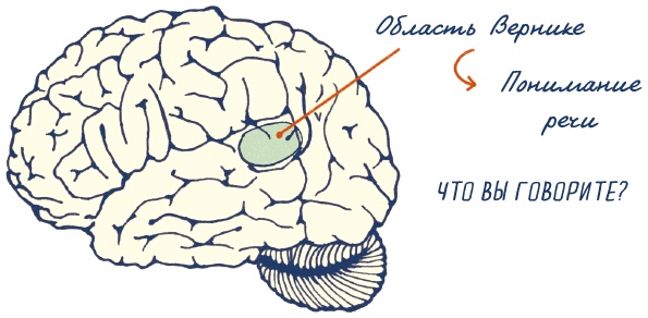 Иллюстрация к книге — В моей голове [i_031.jpg]