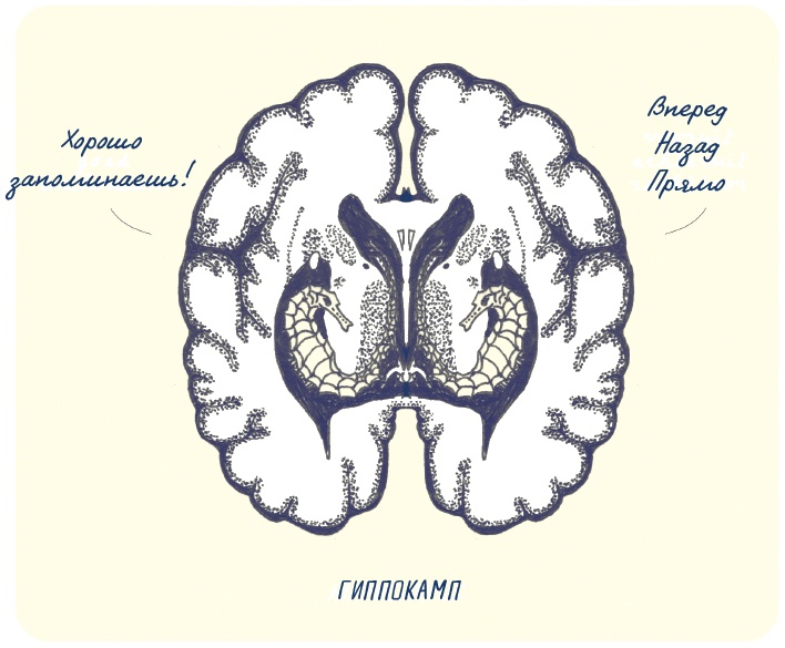 Иллюстрация к книге — В моей голове [i_033.jpg]