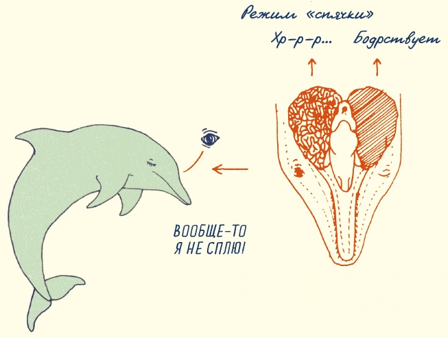 Иллюстрация к книге — В моей голове [i_037.jpg]