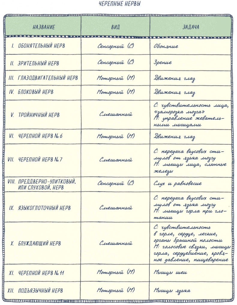 Иллюстрация к книге — В моей голове [i_044.jpg]