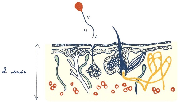 Иллюстрация к книге — В моей голове [i_053.jpg]