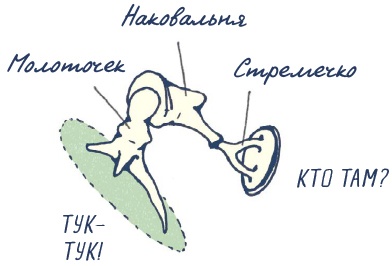 Иллюстрация к книге — В моей голове [i_057.jpg]