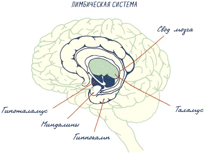 Иллюстрация к книге — В моей голове [i_064.jpg]