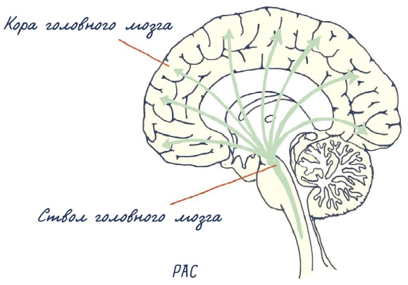 Иллюстрация к книге — В моей голове [i_106.jpg]