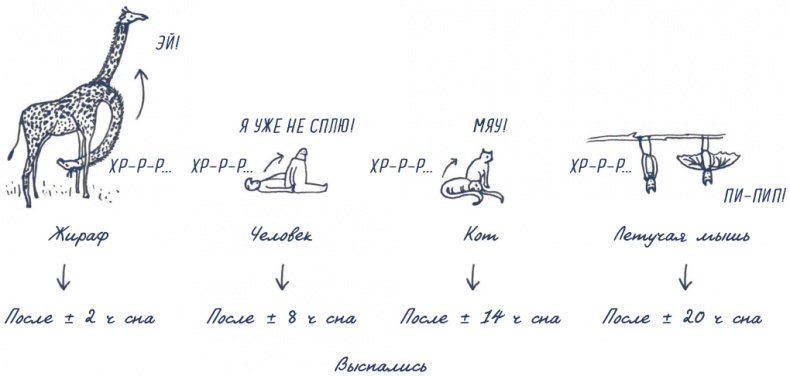 Иллюстрация к книге — В моей голове [i_107.jpg]