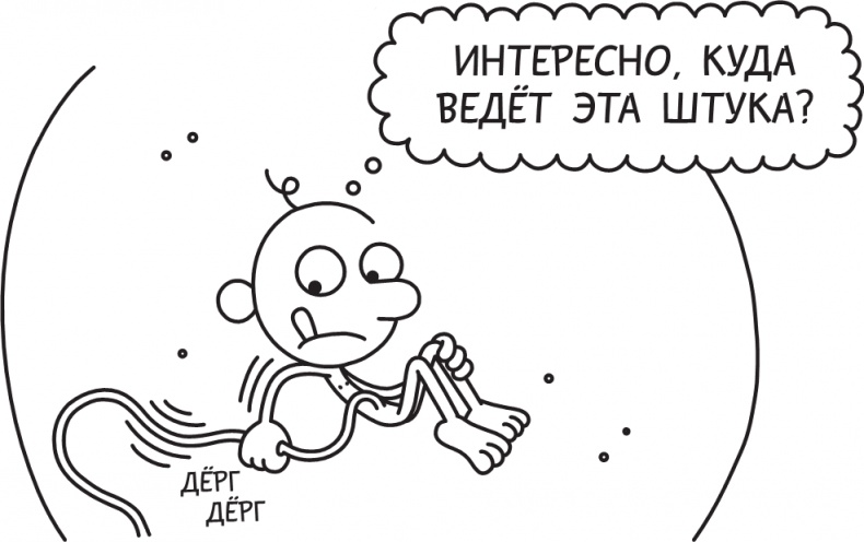 Иллюстрация к книге — Третий лишний [i_009.jpg]