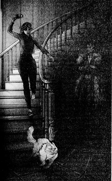 Иллюстрация к книге — Снежный король [i_002.jpg]