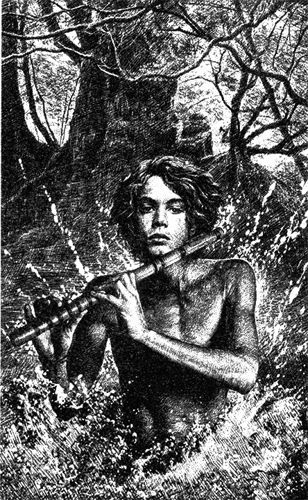 Иллюстрация к книге — Враг [i_002.jpg]