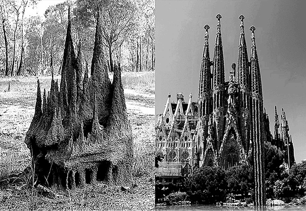 Иллюстрация к книге — Насосы интуиции и другие инструменты мышления [i_019.jpg]