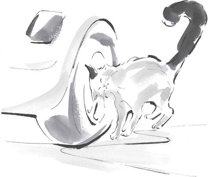 Иллюстрация к книге — Хроники странствующего кота [i_001.jpg]