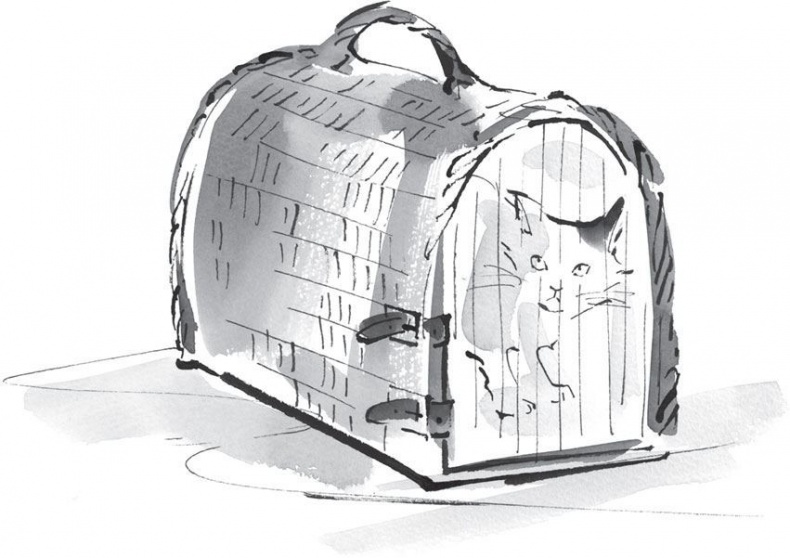 Иллюстрация к книге — Хроники странствующего кота [i_002.jpg]