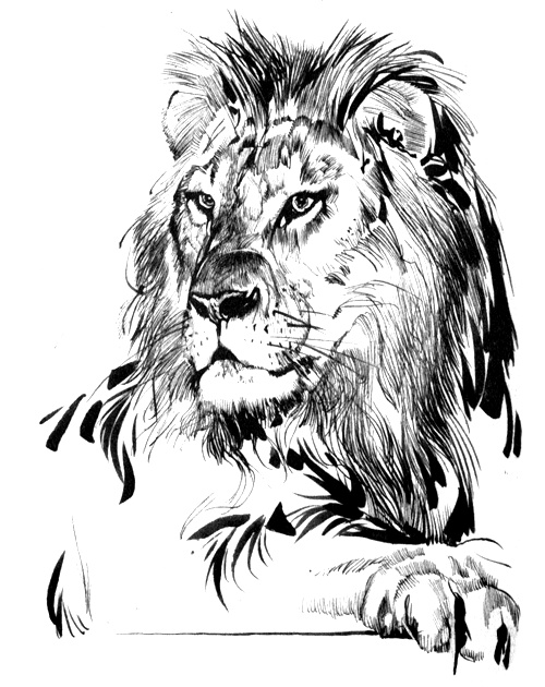 Иллюстрация к книге — Зоопарки [i_001.jpg]