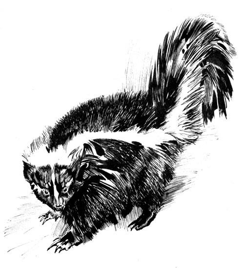 Иллюстрация к книге — Зоопарки [i_005.jpg]