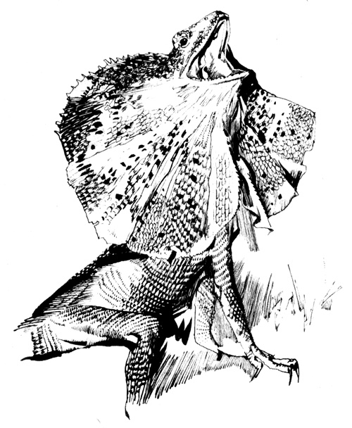 Иллюстрация к книге — Зоопарки [i_006.jpg]