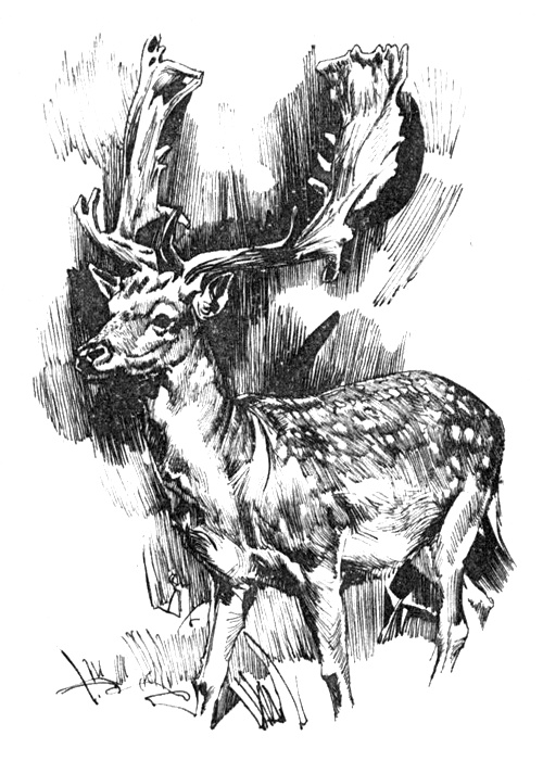 Иллюстрация к книге — Зоопарки [i_008.jpg]