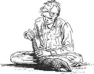 Иллюстрация к книге — Зоопарк в моем багаже [zooinmyluggage_004_imgx.jpg]