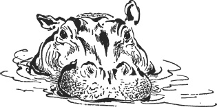 Иллюстрация к книге — Зоопарк в моем багаже [zooinmyluggage_008_imgx.jpg]