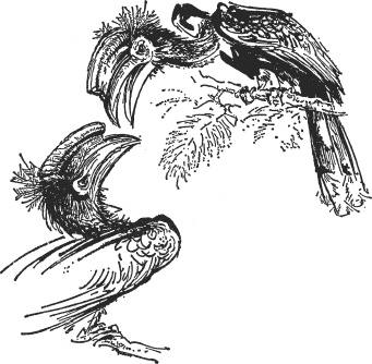 Иллюстрация к книге — Зоопарк в моем багаже [zooinmyluggage_012_imgx.jpg]