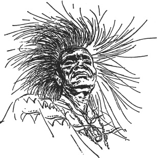 Иллюстрация к книге — Зоопарк в моем багаже [zooinmyluggage_015_imgx.jpg]