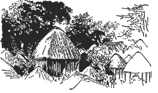 Иллюстрация к книге — Зоопарк в моем багаже [zooinmyluggage_016_imgx.jpg]