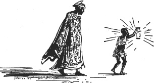 Иллюстрация к книге — Зоопарк в моем багаже [zooinmyluggage_019_imgx.jpg]