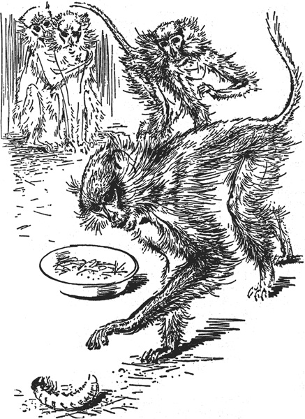 Иллюстрация к книге — Зоопарк в моем багаже [zooinmyluggage_031_imgx.jpg]