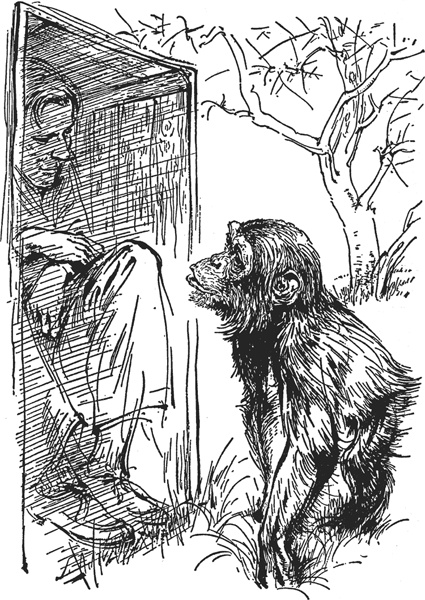 Иллюстрация к книге — Зоопарк в моем багаже [zooinmyluggage_032_imgx.jpg]