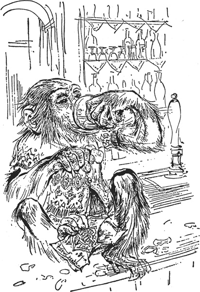 Иллюстрация к книге — Зоопарк в моем багаже [zooinmyluggage_043_imgx.jpg]