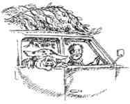 Иллюстрация к книге — Мама на выданье [img05.jpg]