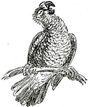 Иллюстрация к книге — Мама на выданье [img20.jpg]