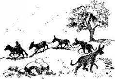 Иллюстрация к книге — Ослокрады [pic13.jpg]