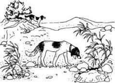 Иллюстрация к книге — Ослокрады [pic20.jpg]