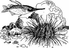 Иллюстрация к книге — Ослокрады [pic8.jpg]