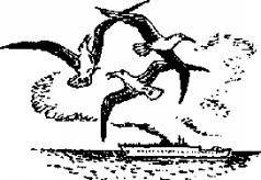 Иллюстрация к книге — Пикник и прочие безобразия [pic_5.jpg]