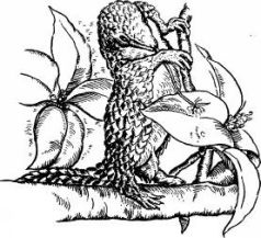 Иллюстрация к книге — Поймайте мне колобуса [pic18.jpg]