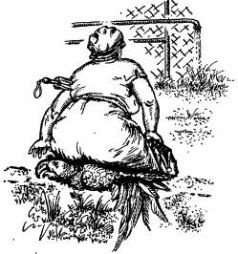 Иллюстрация к книге — Поймайте мне колобуса [pic7.jpg]