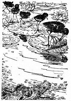 Иллюстрация к книге — По всему свету [sc0722.jpg]