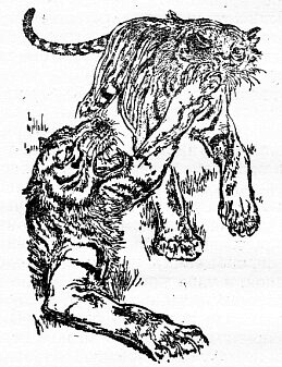 Иллюстрация к книге — По всему свету [sc1022.jpg]