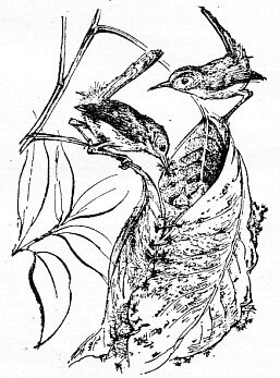 Иллюстрация к книге — По всему свету [sc1222.jpg]