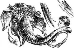 Иллюстрация к книге — Рози - моя родня [pic33.jpg]