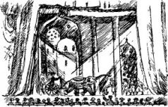 Иллюстрация к книге — Рози - моя родня [pic35.jpg]